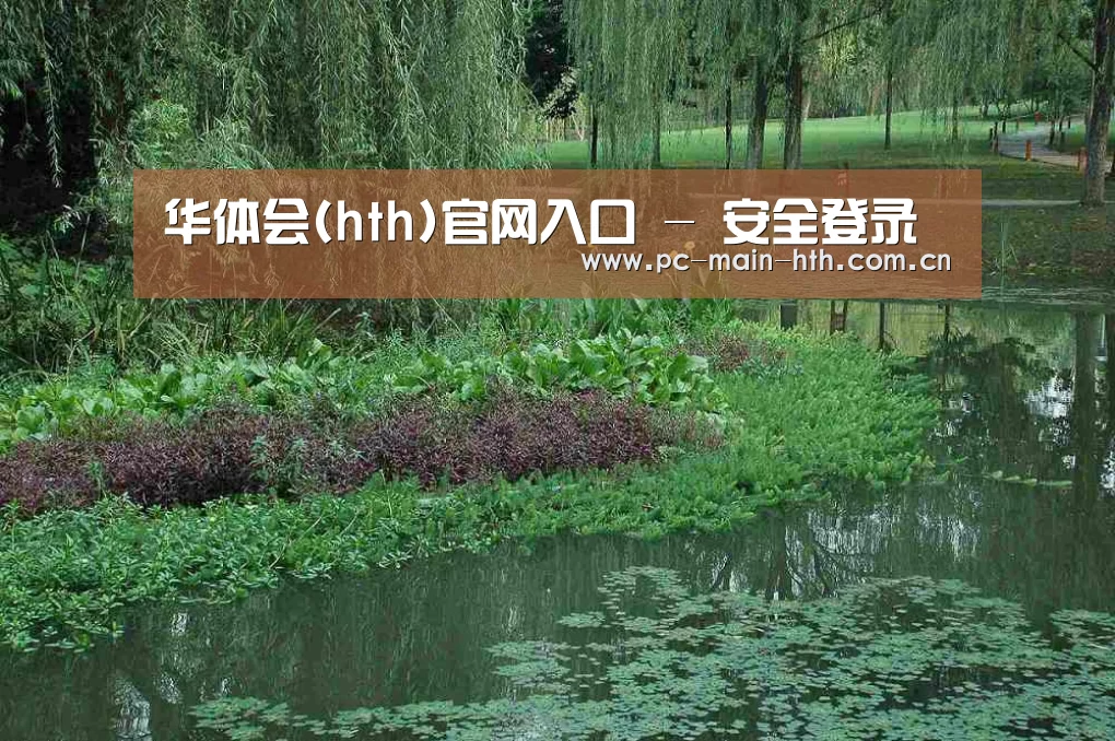 案例展示一(图1)