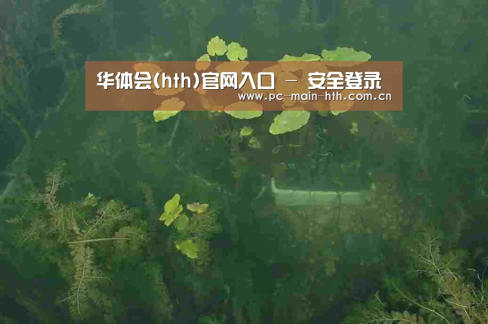 案例展示三(图1)