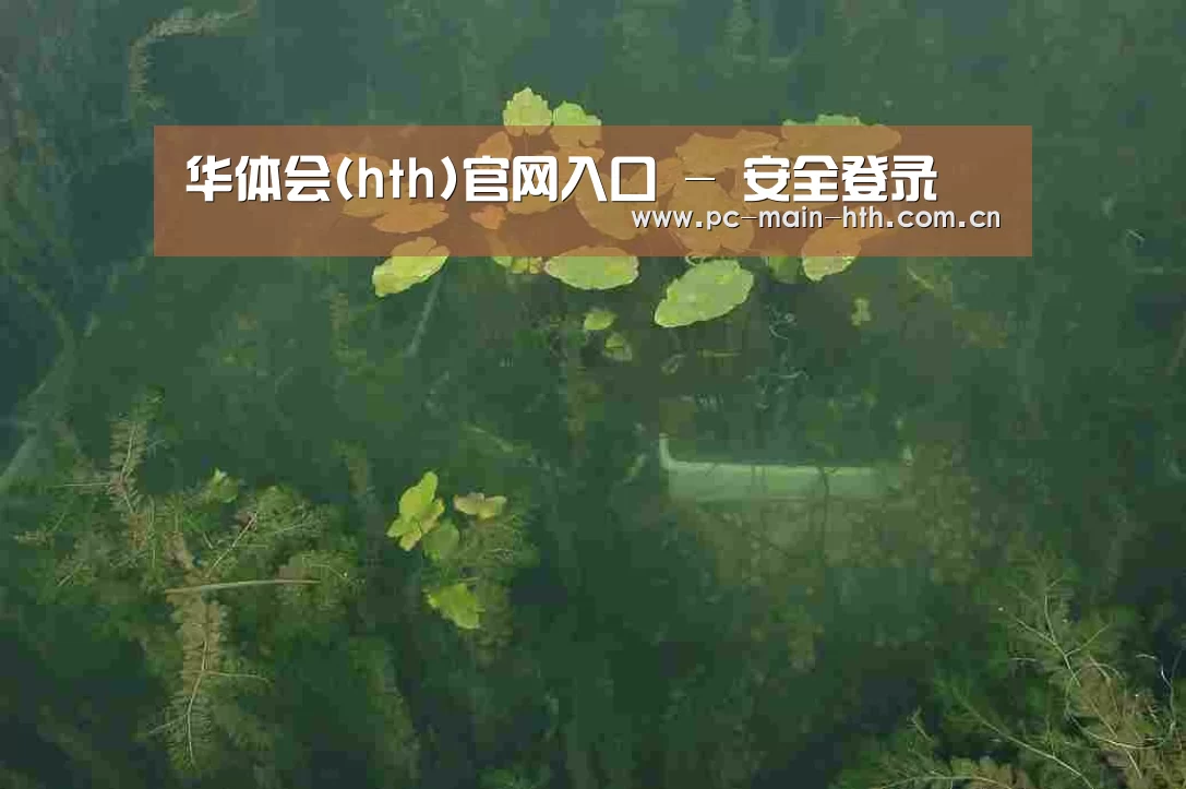 案例展示三