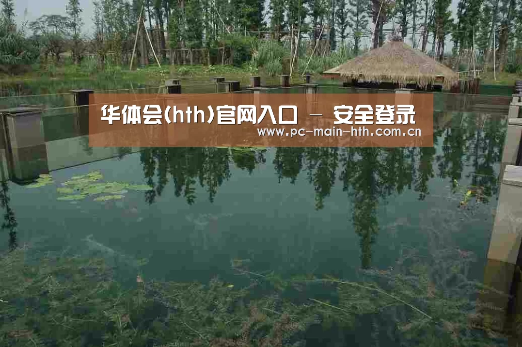 案例展示二