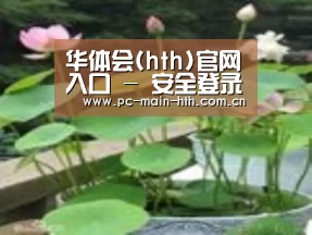 产品名称一