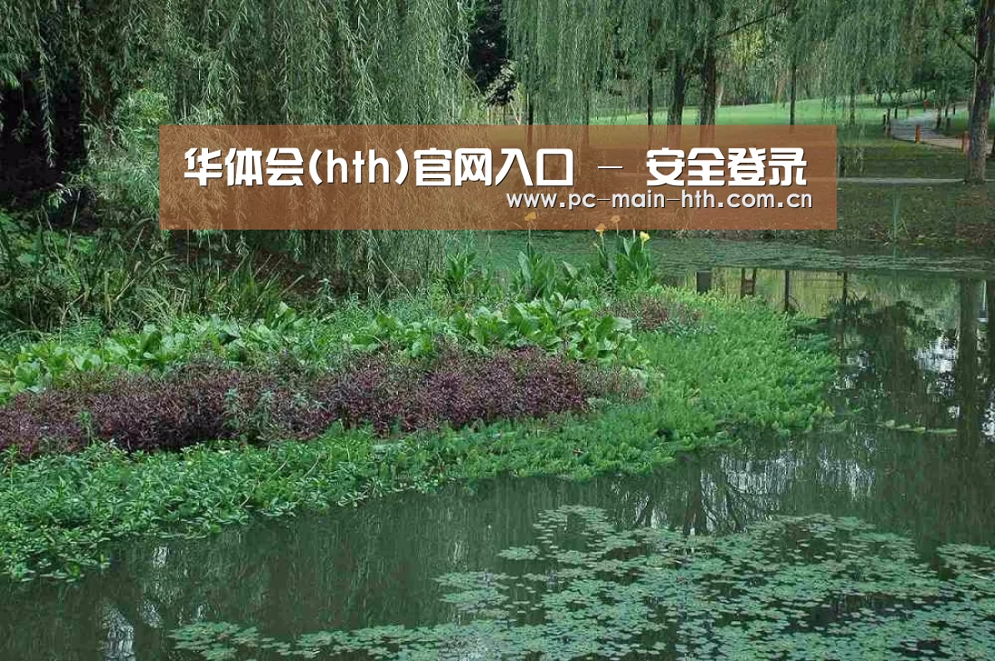 案例展示一