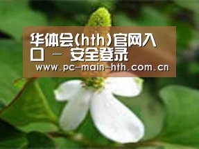 产品名称三