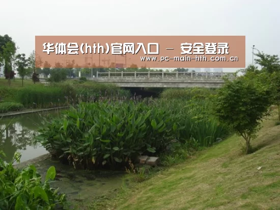 案例展示四