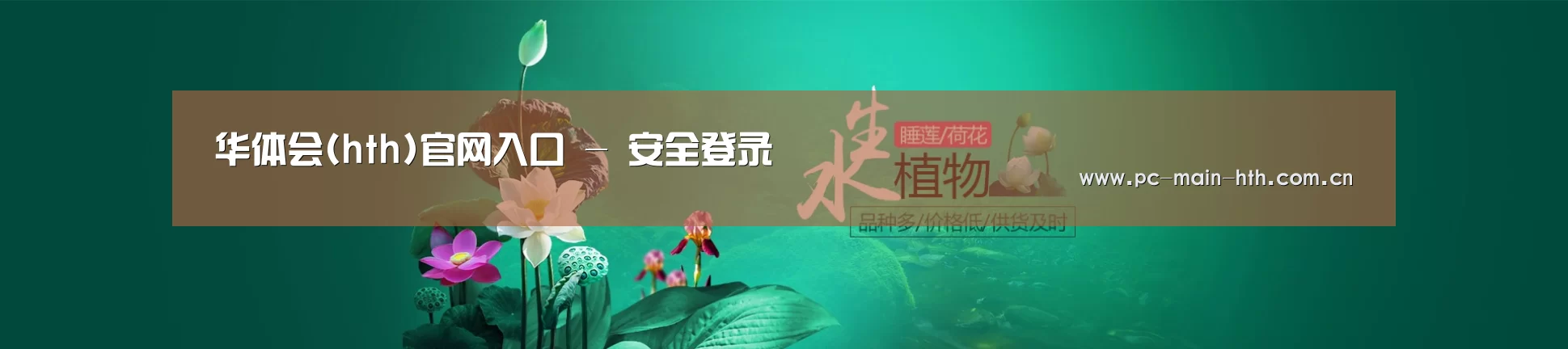 鲜花水草花卉网站模板