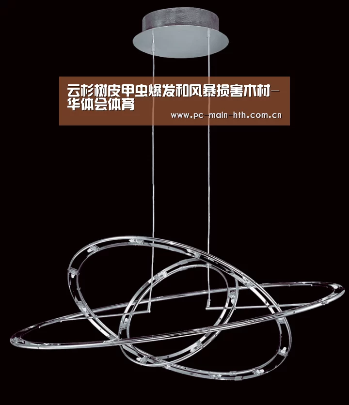 华体会体育